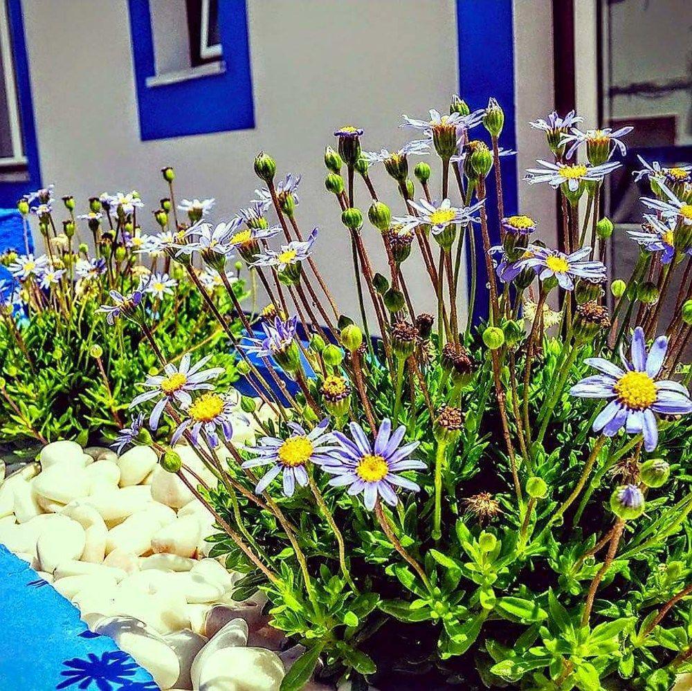 וילה דו ביספו Pure Flor De Esteva מראה חיצוני תמונה